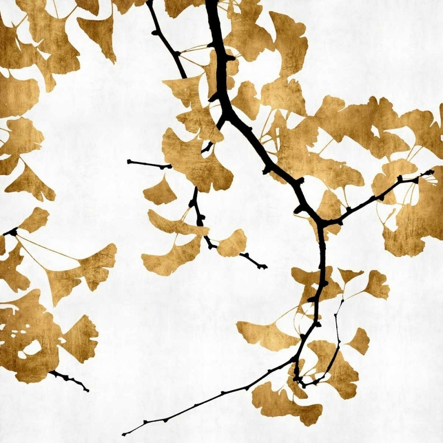 Ginko in Gold II Poster Print by Kate Bennett-VARPDXKTB112069DG Image 1