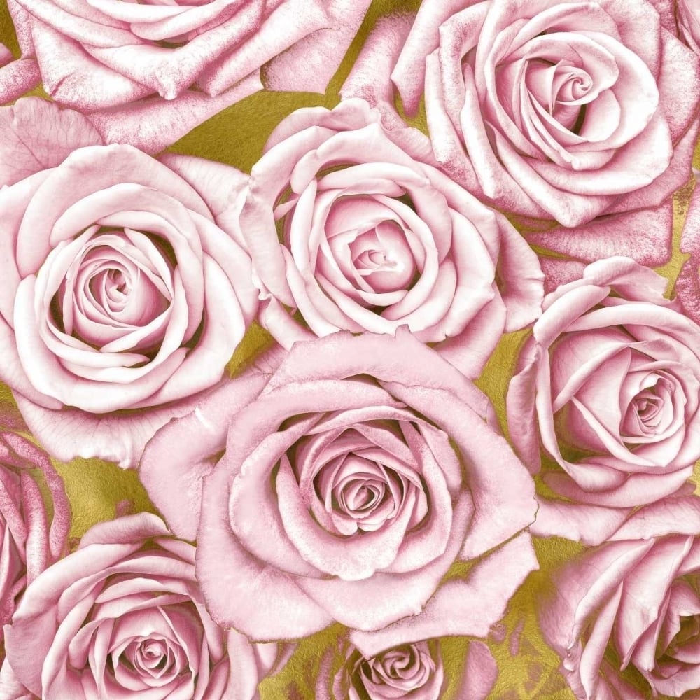 Pink Roses on Gold Poster Print by Kate Bennett-VARPDXKTB113448 Image 1