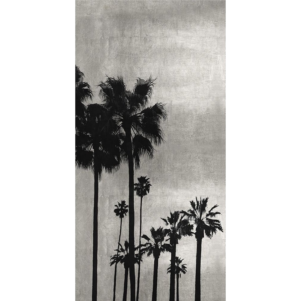 Palm Silhouette on Silver I Poster Print by Kate Bennett-VARPDXKTB115121 Image 1