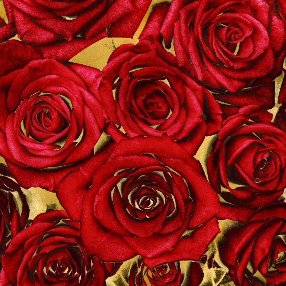 Roses - Red on Gold Poster Print by Kate Bennett-VARPDXKTB113452 Image 1