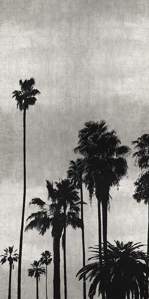 Palm Silhouette on Silver II Poster Print by Kate Bennett-VARPDXKTB115122 Image 1