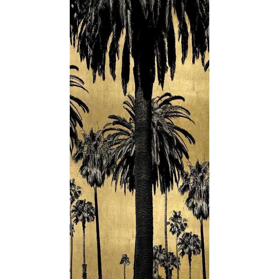 Palms with Gold II Poster Print by Kate Bennett-VARPDXKTB115129 Image 1