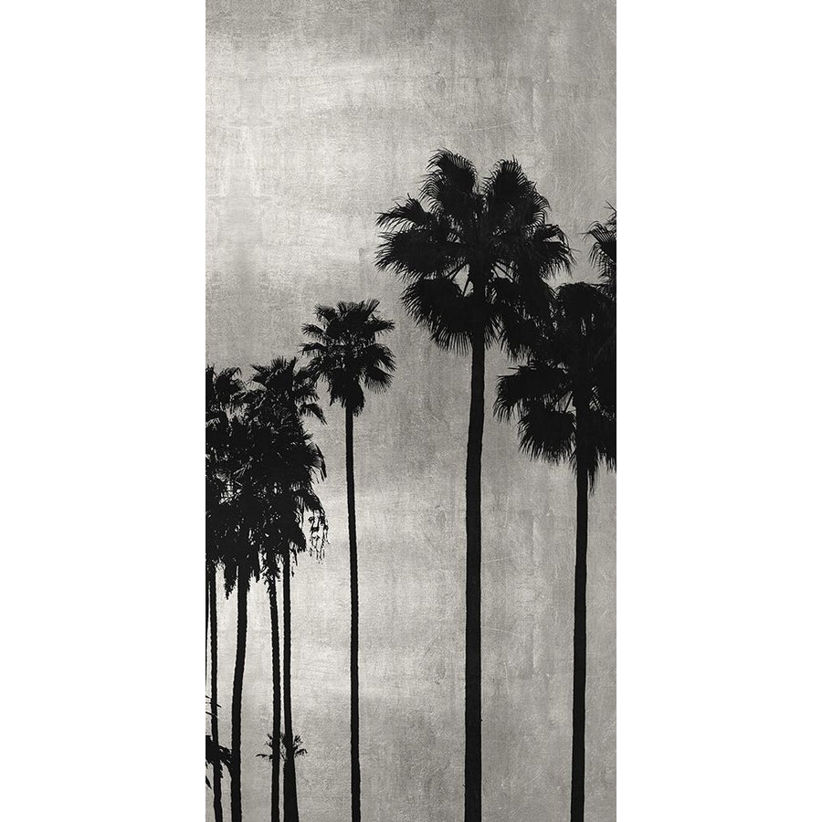 Palm Silhouette on Silver III Poster Print by Kate Bennett-VARPDXKTB115123 Image 1