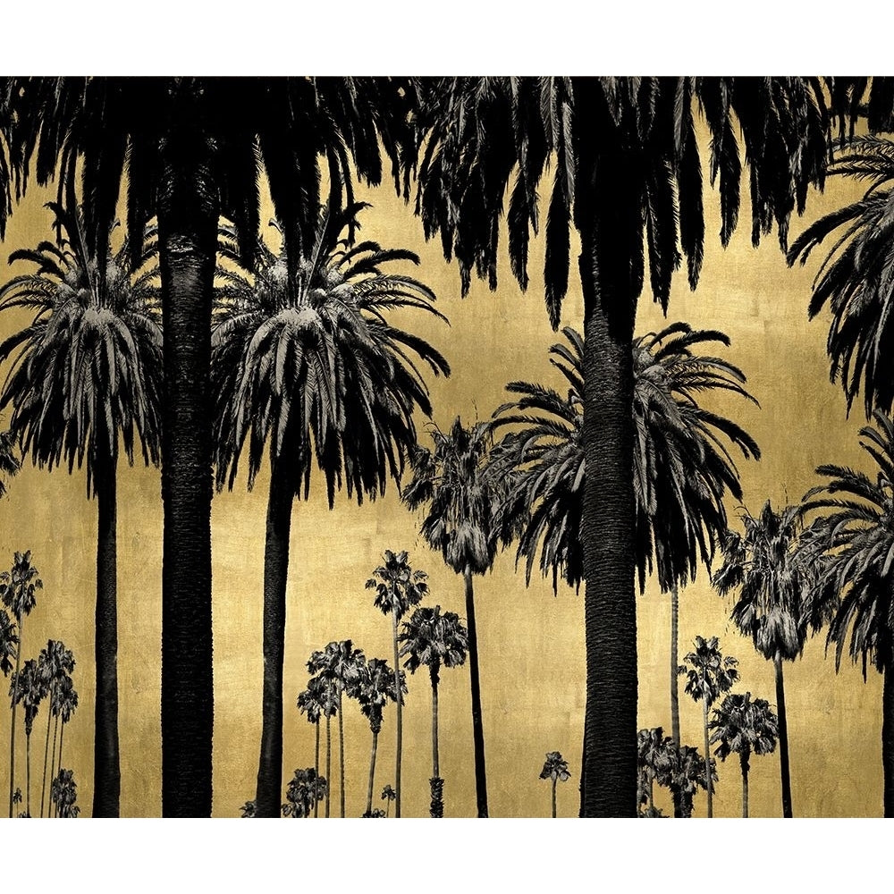 Palms on Gold Poster Print by Kate Bennett-VARPDXKTB115130 Image 1