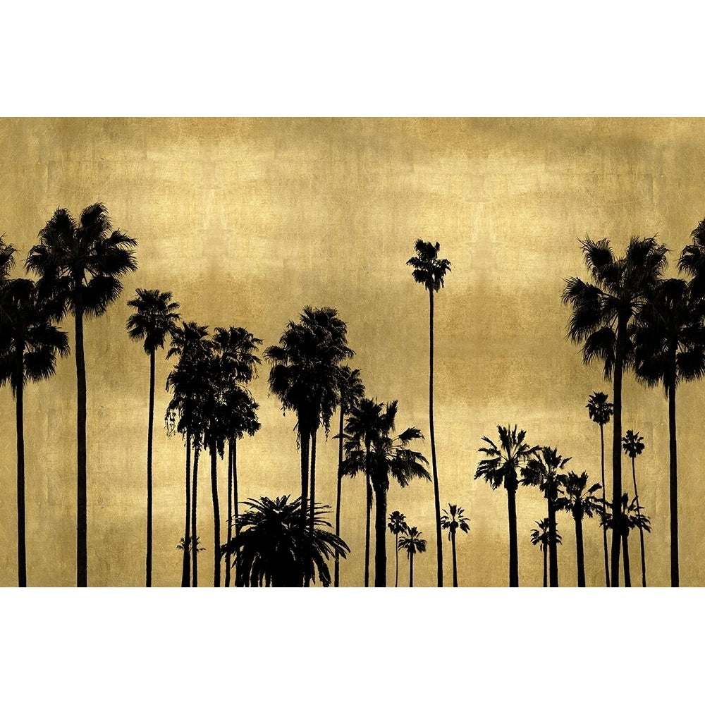 Palm Row on Gold Poster Print by Kate Bennett-VARPDXKTB115127 Image 1