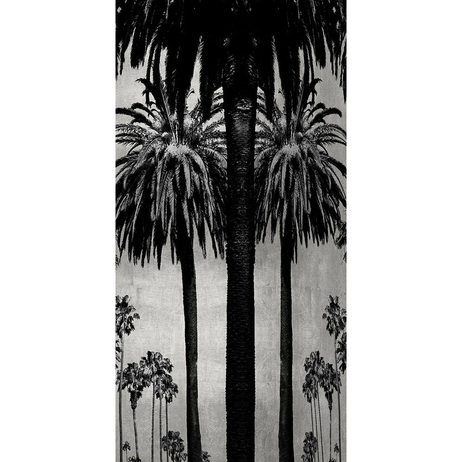 Palms with Silver II Poster Print by Kate Bennett-VARPDXKTB115132 Image 1