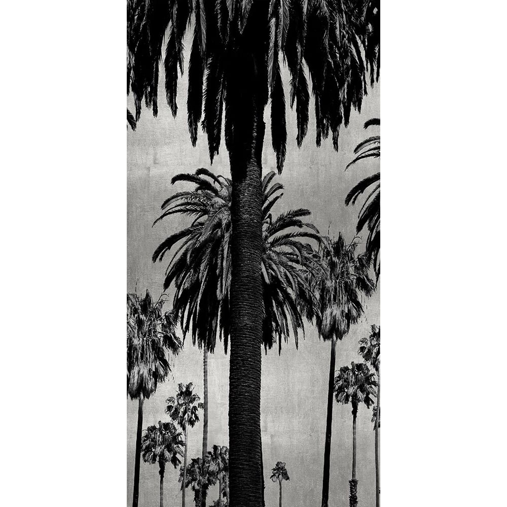 Palms with Silver I Poster Print by Kate Bennett-VARPDXKTB115131 Image 1