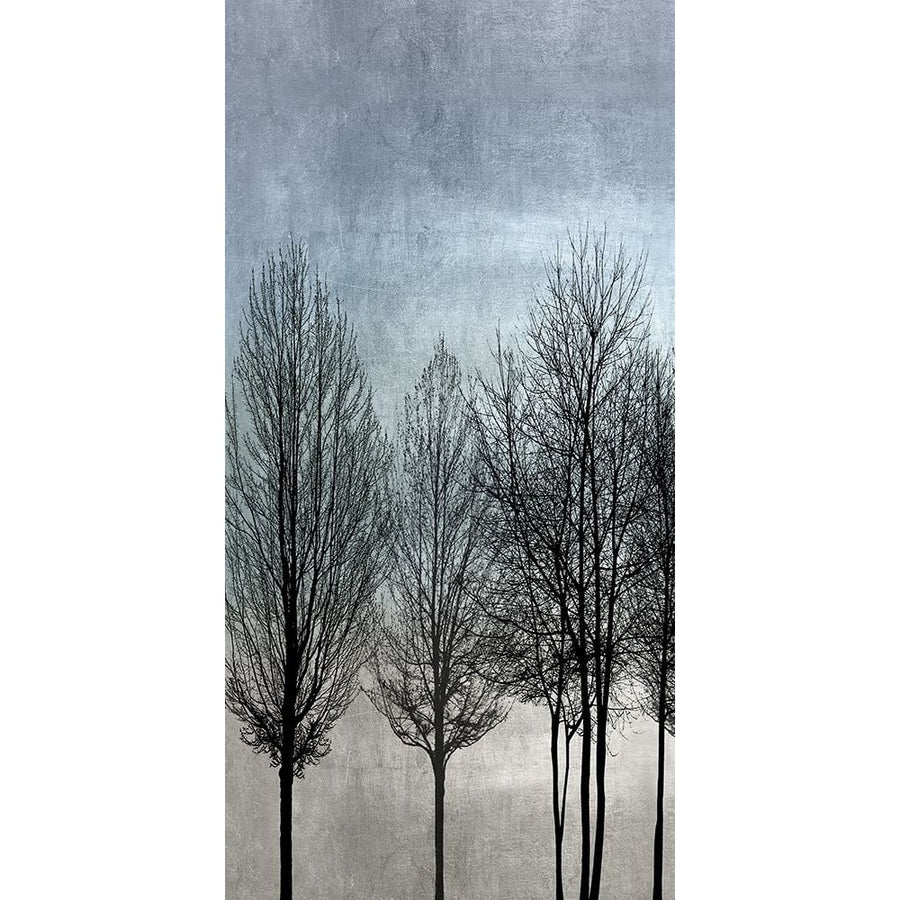 Tree Silhouette I Poster Print by Kate Bennett-VARPDXKTB115133 Image 1