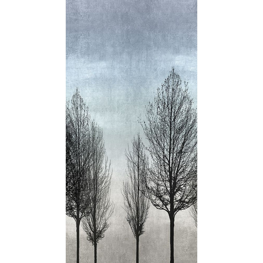 Tree Silhouette II Poster Print by Kate Bennett-VARPDXKTB115134 Image 1