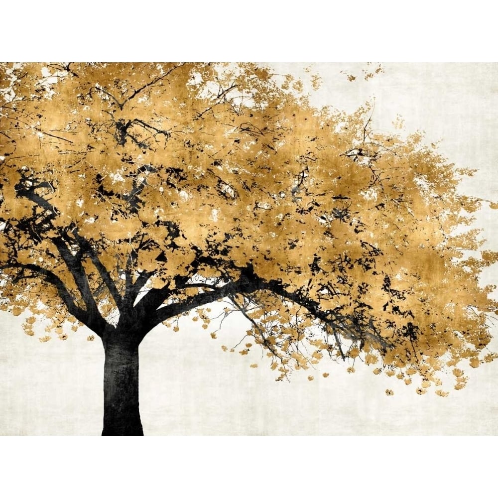 Golden Blossoms Poster Print by Kate Bennett-VARPDXKTB111457DG Image 1