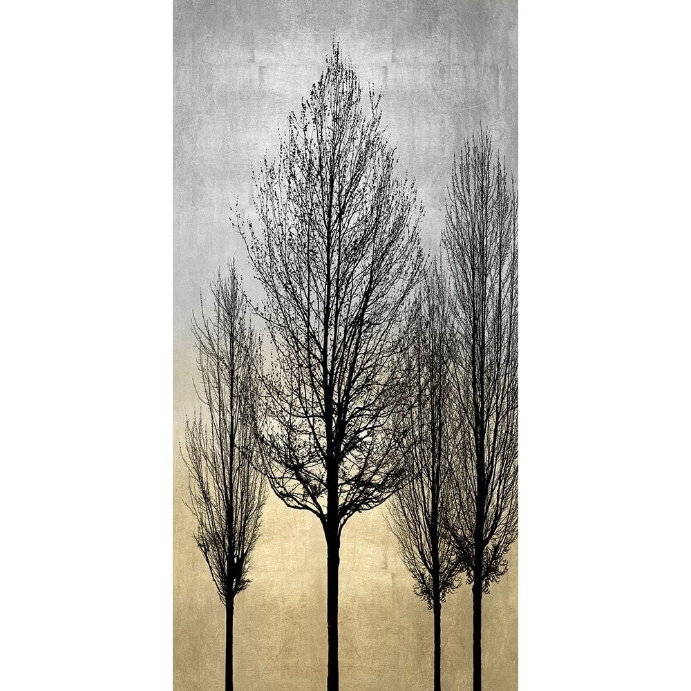 Trees on Silver and Gold II Poster Print by Kate Bennett-VARPDXKTB115141 Image 1