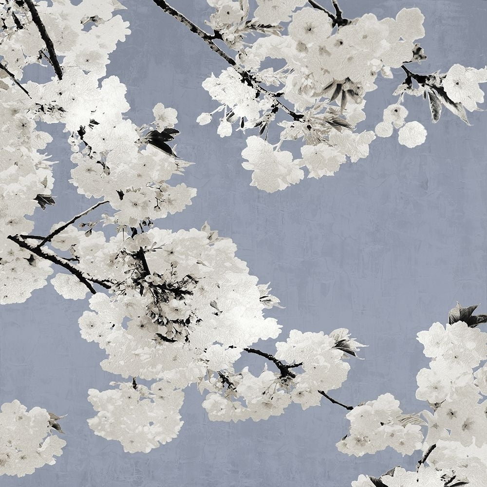 Blossoms on Blue I Poster Print by Kate Bennett-VARPDXKTB116619 Image 1