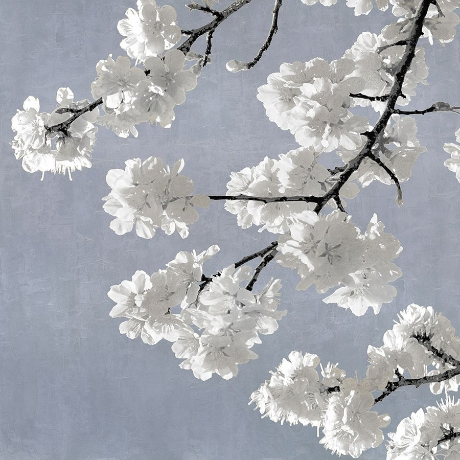 Blossoms on Blue II Poster Print by Kate Bennett-VARPDXKTB116620 Image 1