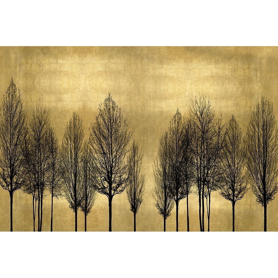 Tree Line on Gold Poster Print by Kate Bennett-VARPDXKTB115143 Image 1