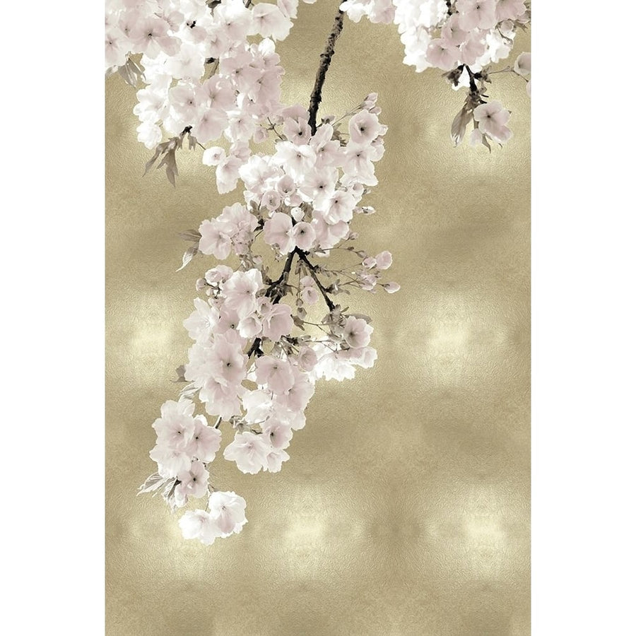 Pink Blossoms on Gold II Poster Print by Kate Bennett-VARPDXKTB116638 Image 1