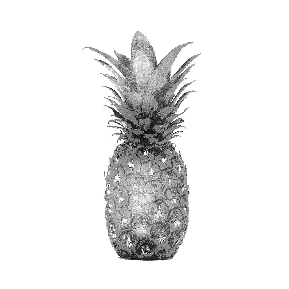 Pineapple Gray I Poster Print by Kate Bennett-VARPDXKTB116633 Image 1