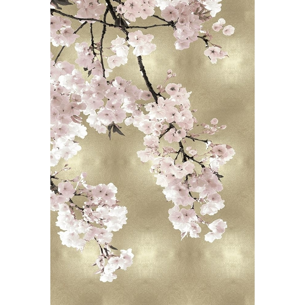 Pink Blossoms on Gold I Poster Print by Kate Bennett-VARPDXKTB116637 Image 1