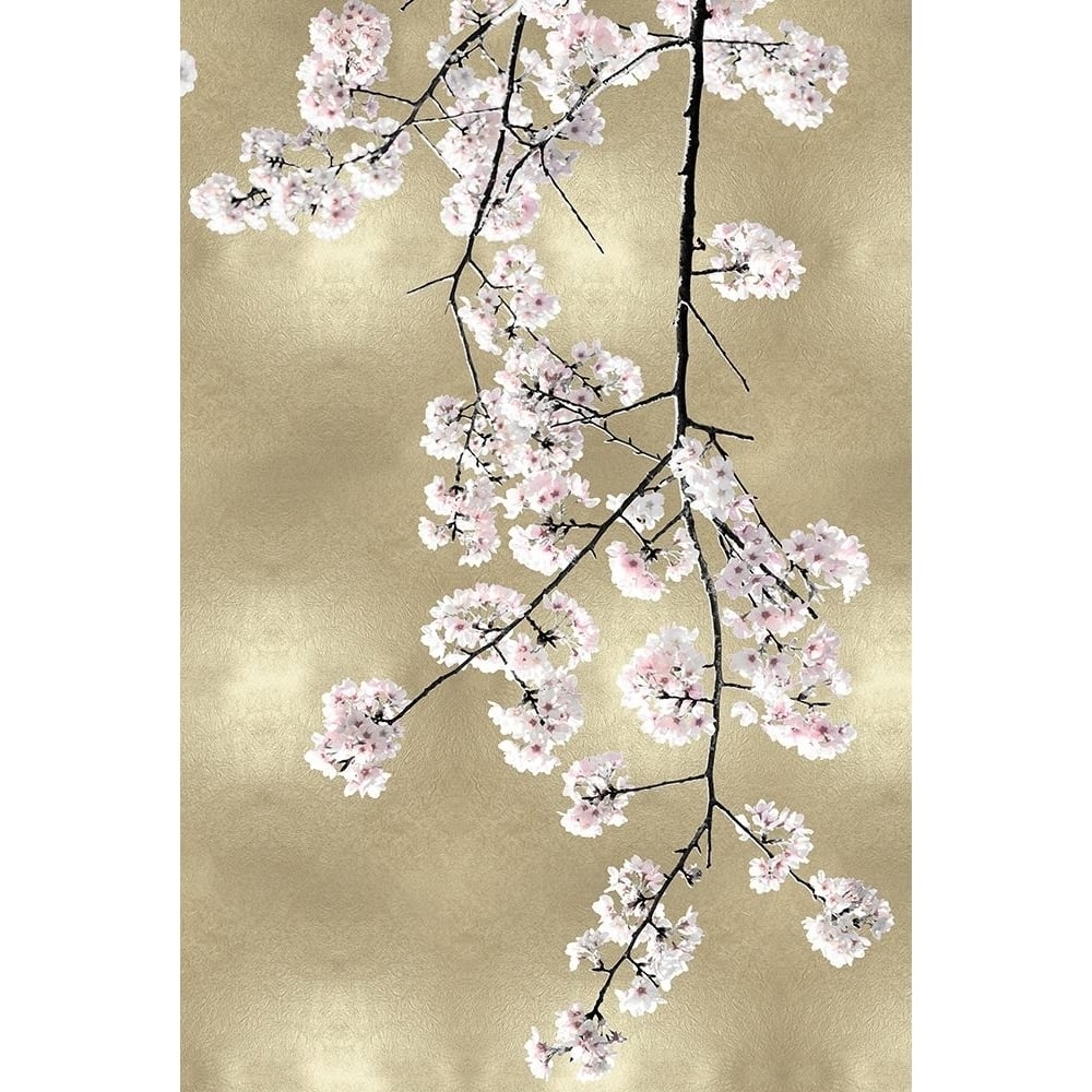 Pink Blossoms on Gold III Poster Print by Kate Bennett-VARPDXKTB116639 Image 1