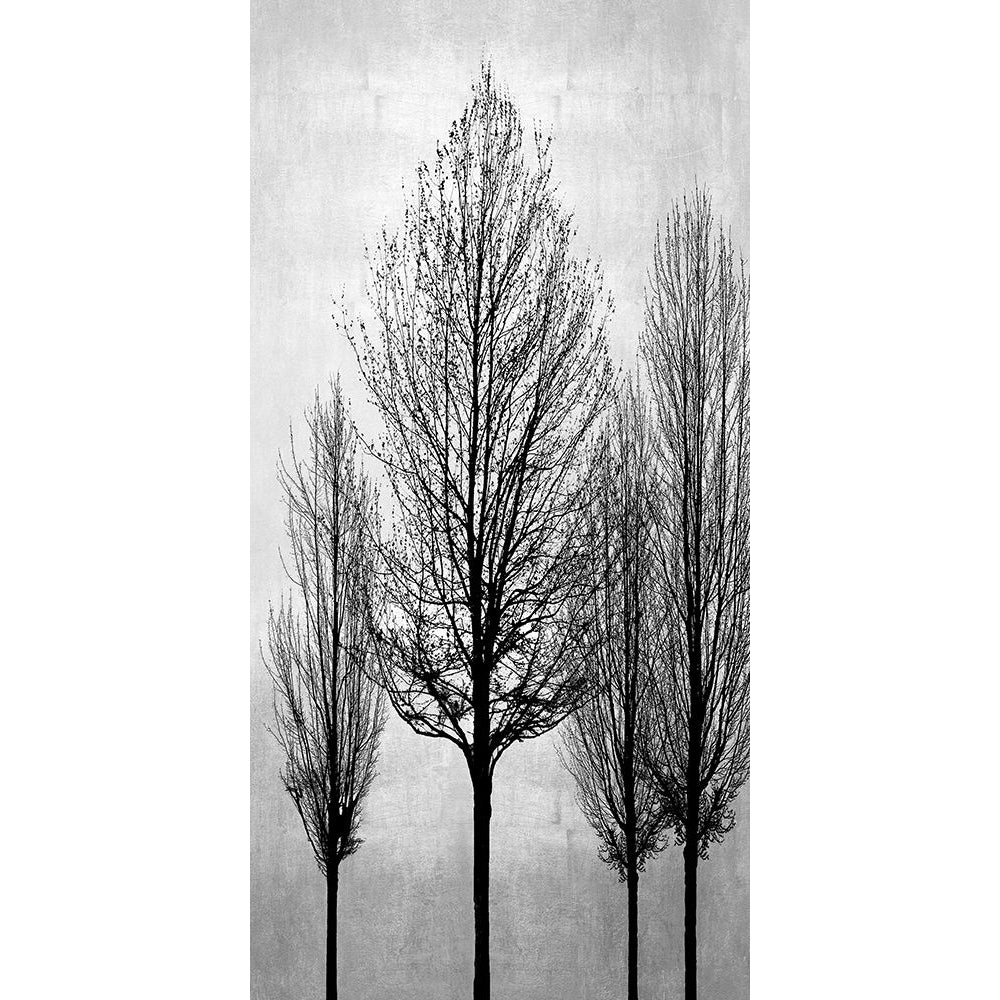 Trees on Silver Panel II by Kate Bennett-VARPDXKTB117788 Image 1