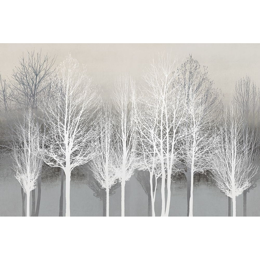 Trees on Gray by Kate Bennett-VARPDXKTB117786 Image 1