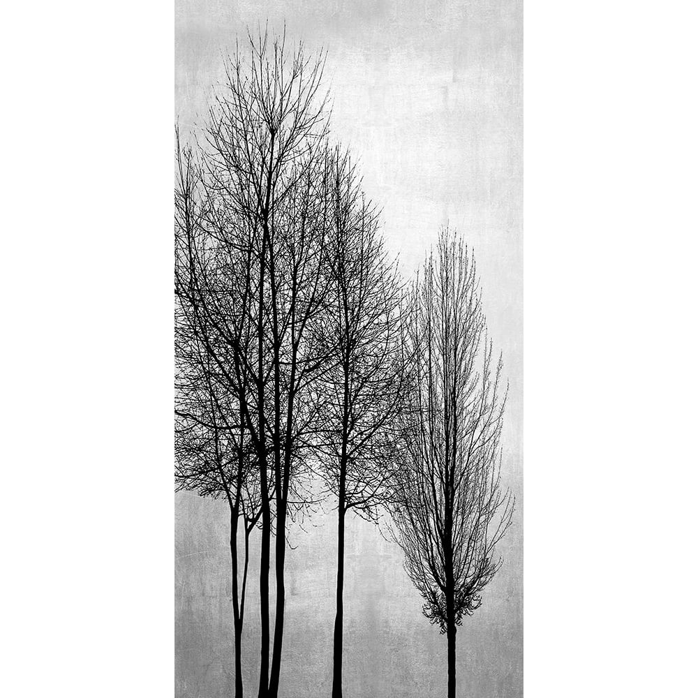 Trees on Silver Panel I by Kate Bennett-VARPDXKTB117787 Image 1