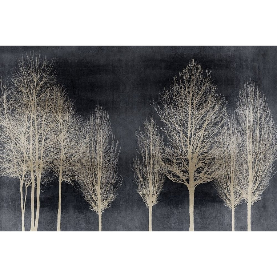 Trees on Dark Gray by Kate Bennett-VARPDXKTB117785 Image 1