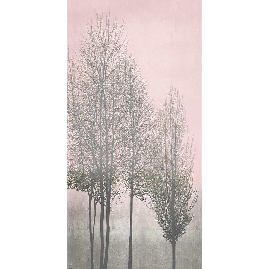 Gray Trees on Pink Panel I by Kate Bennett-VARPDXKTB117797 Image 1