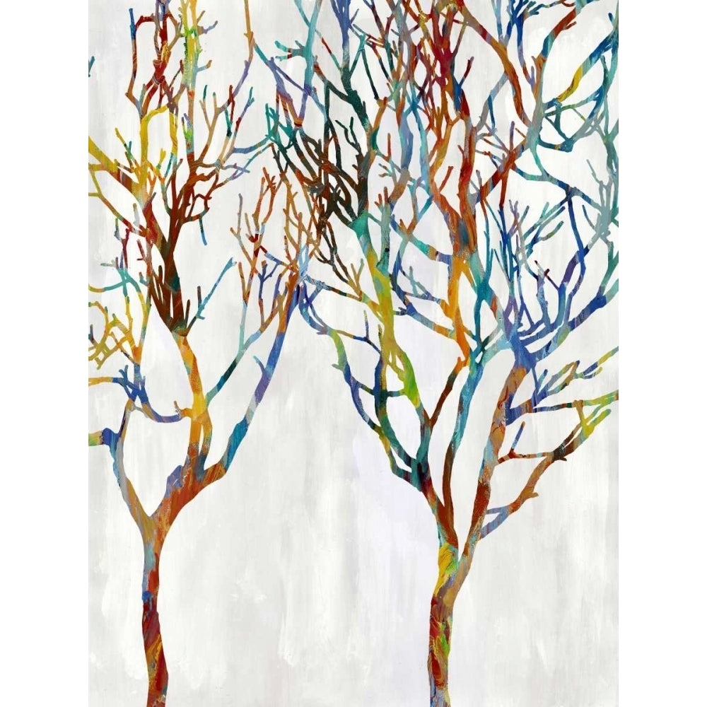 Branches II Poster Print by Kyle Webster-VARPDXKWB112662DG Image 1