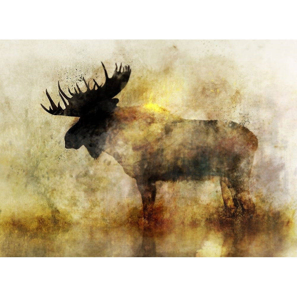 Happy Moose II Poster Print by Ken Roko-VARPDXKX019A Image 1