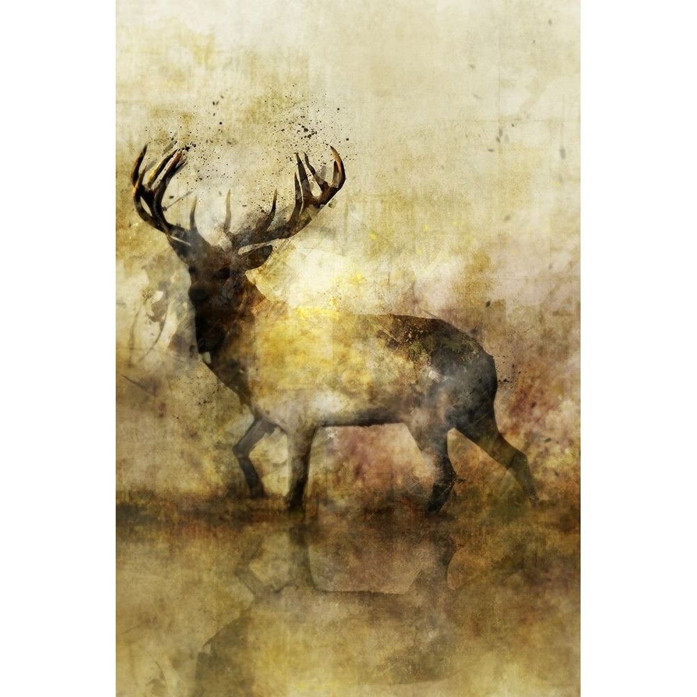 Calm Deer II Poster Print by Ken Roko-VARPDXKX017A Image 1