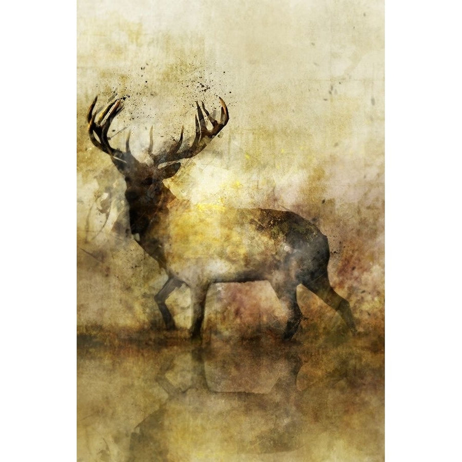 Calm Deer II Poster Print by Ken Roko-VARPDXKX017A Image 1