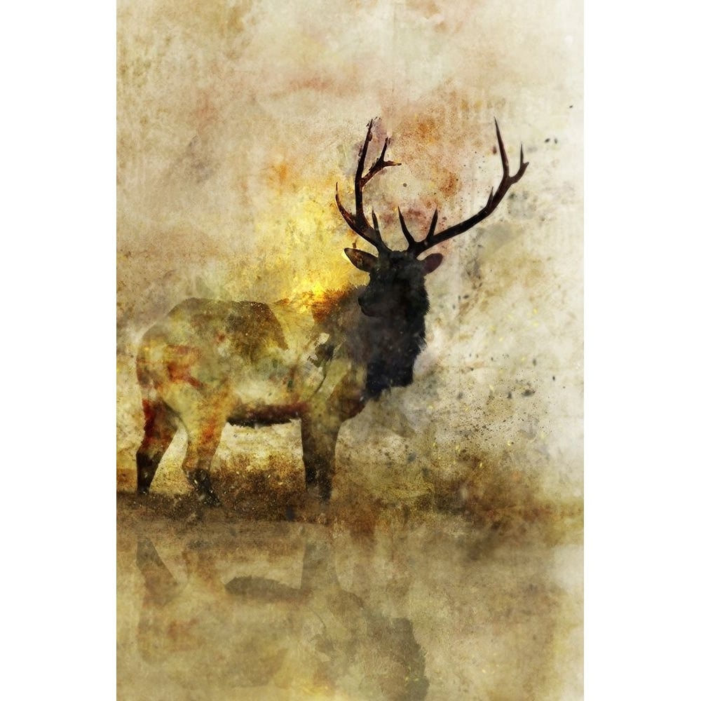 Calm Deer I Poster Print by Ken Roko-VARPDXKX016A Image 1