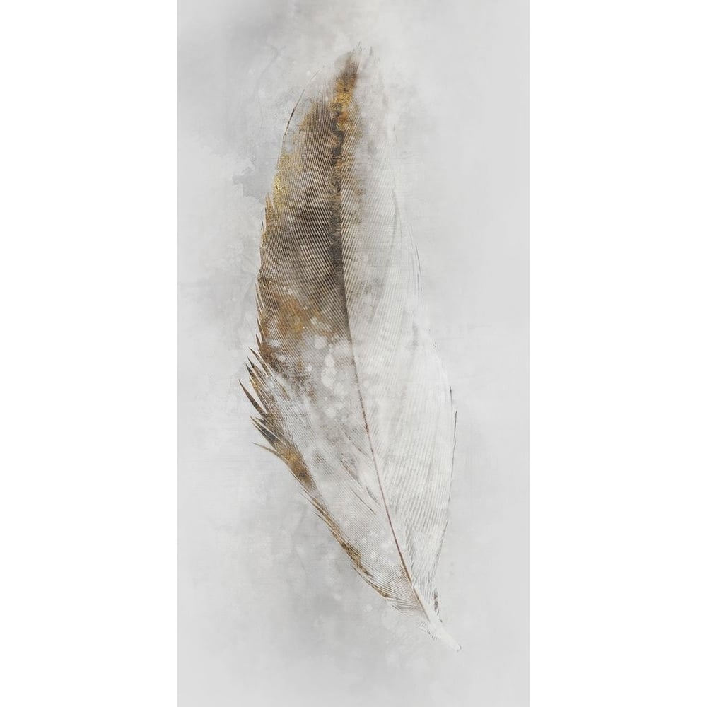 Golden Feather II Poster Print by Ken Roko-VARPDXKX079A Image 1