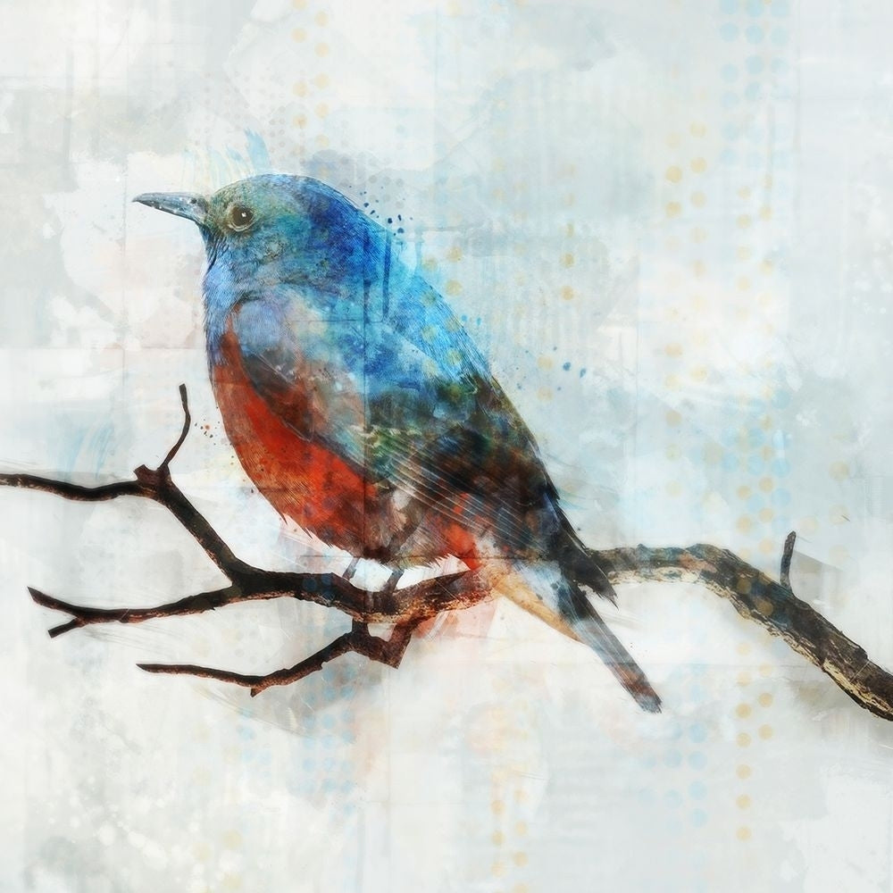 Little Blue Bird II Poster Print by Ken Roko-VARPDXKX081A Image 1