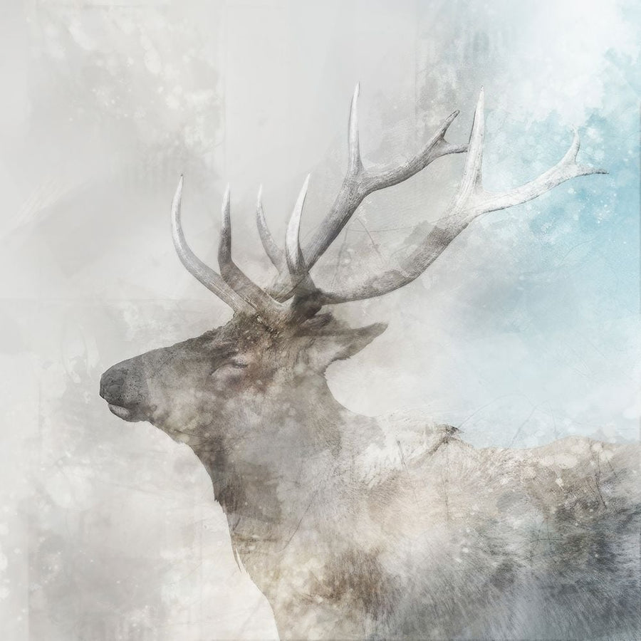 Stag Gaze I Poster Print by Ken Roko-VARPDXKX113A Image 1