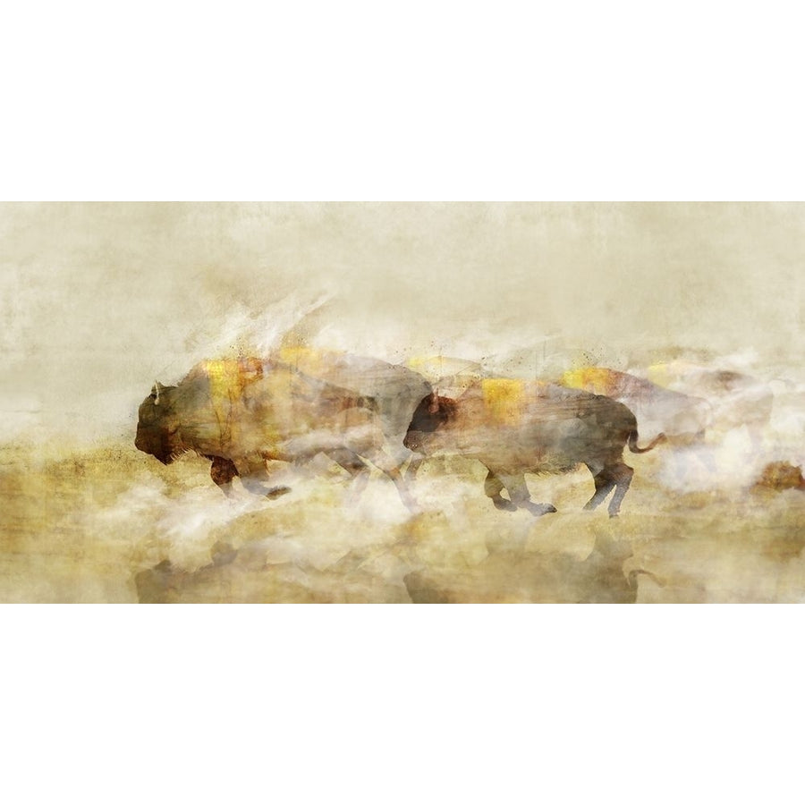 One With The Herd I?_ Poster Print by Ken Roko-VARPDXKX174A Image 1