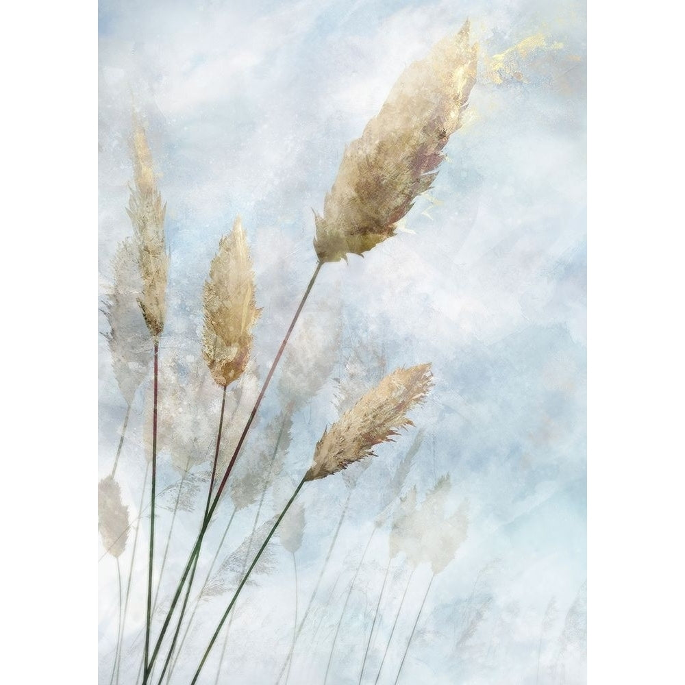 Reed Field I by Ken Roko-VARPDXKX180A Image 1