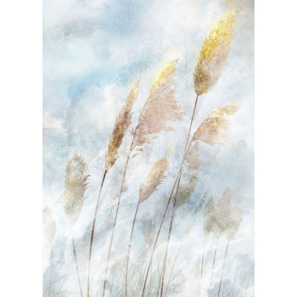 Reed Field II by Ken Roko-VARPDXKX181A Image 1