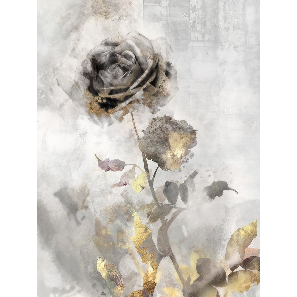 Black Roses II Poster Print - Ken Roko-VARPDXKX192A Image 1