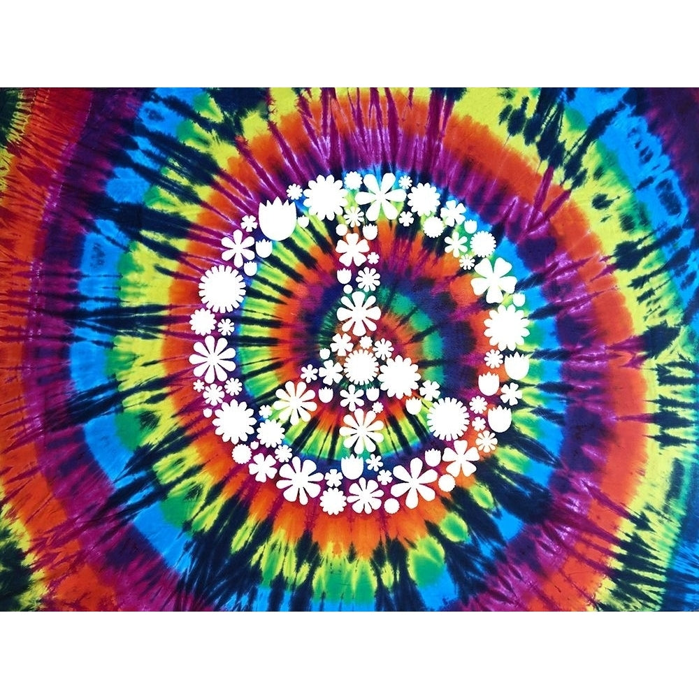 Tie Dye Rainbow Peace Sign II Poster Print by Molly Kearns-VARPDXKYS116916 Image 1