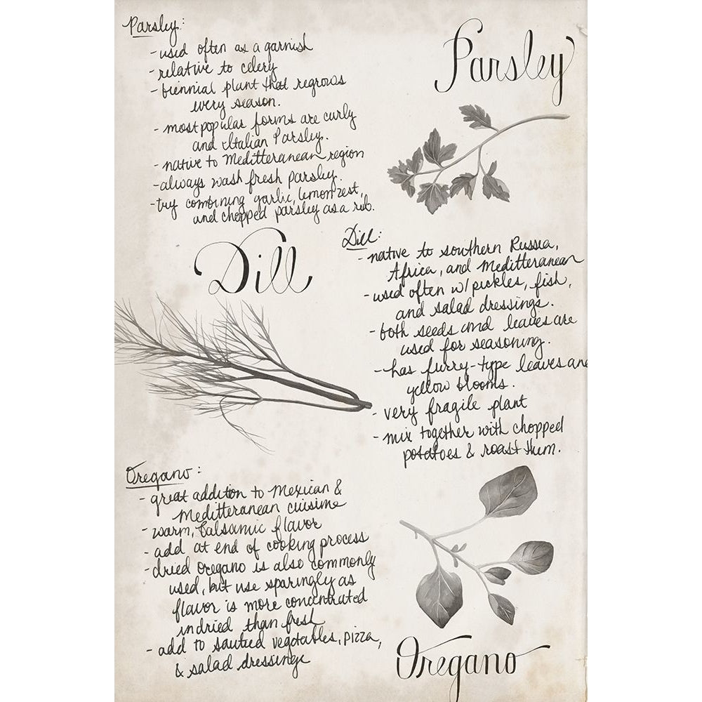 Herb Collection E Poster Print - Grace Popp-VARPDXL000125E Image 1