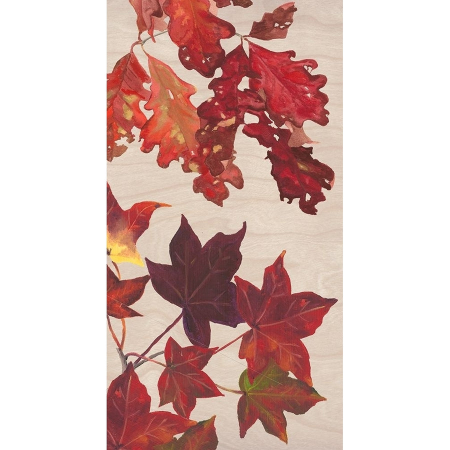 Autumn Leaves Collection B Poster Print - Dianne Miller-VARPDXL000557B Image 1