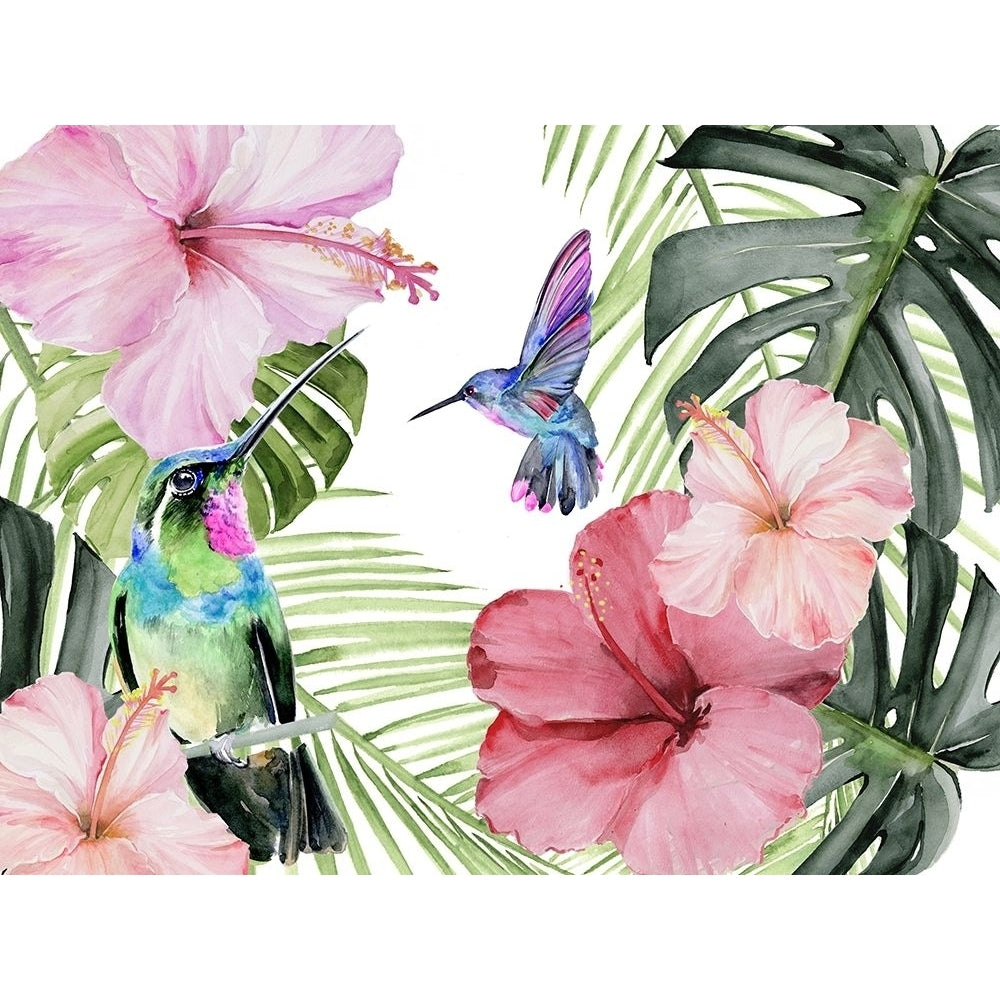 Hibiscus And Hummingbird Collection A Poster Print - Jennifer Paxton Parker-VARPDXL000604A Image 1