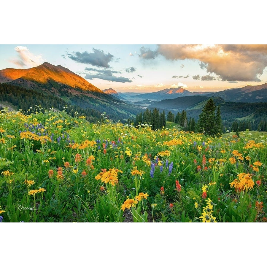 Wash Gulch Wild by J.C. Leacock-VARPDXL978D Image 1