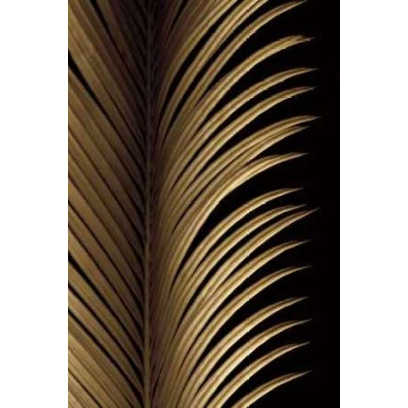 Tropical Leaf Study I Poster Print by Andrew Levine-VARPDXLAP209 Image 1