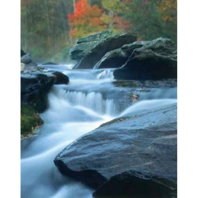 Moving Water I Poster Print by Scott Larson-VARPDXLAR010 Image 1