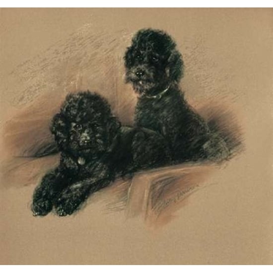 Poodles Poster Print by Lucy Dawson-VARPDXLD04 Image 1