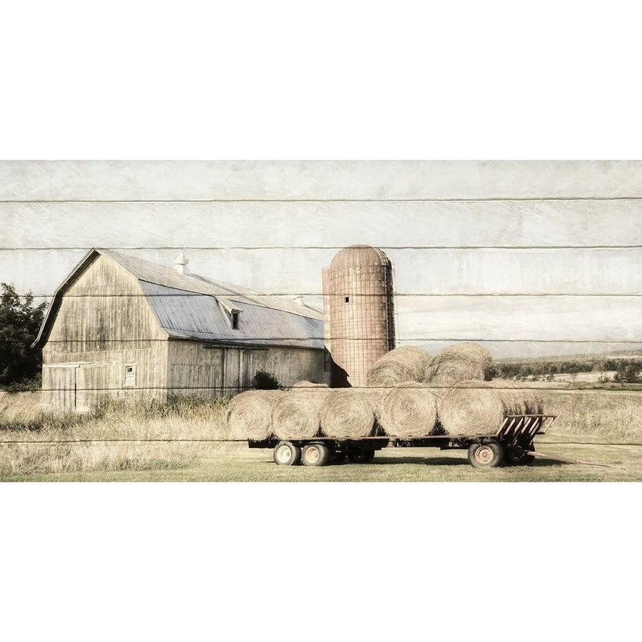 Wagon of Hay Poster Print by Lori Deiter-VARPDXLD1120 Image 1