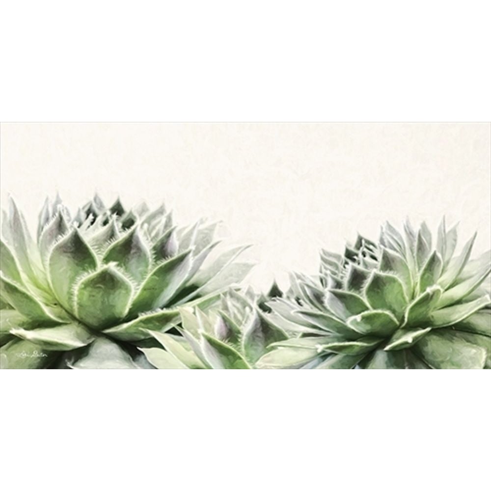 Soft Succulents I Poster Print by Lori Deiter-VARPDXLD1276 Image 1