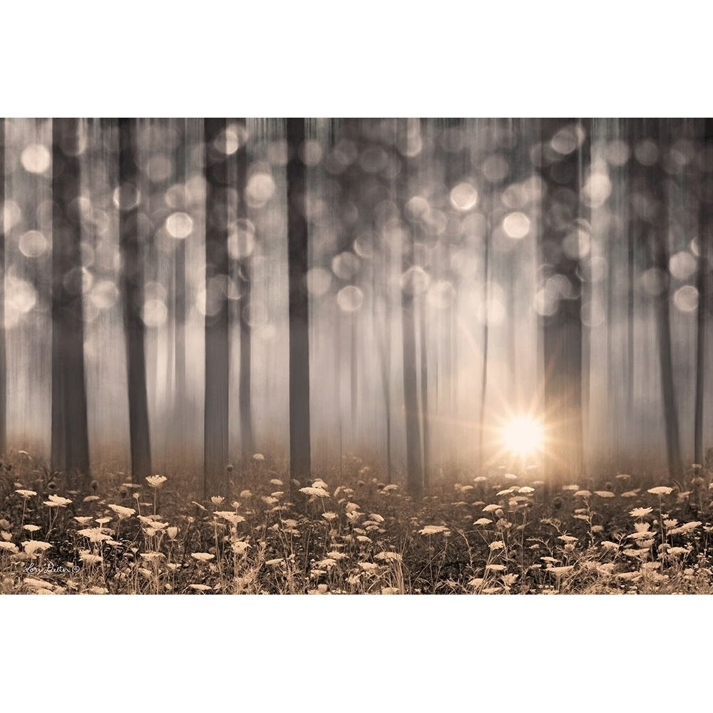 Enchanted Morning Poster Print by Lori Deiter-VARPDXLD1417 Image 1